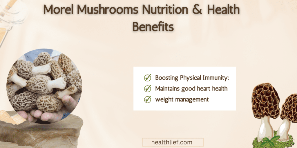 10 Morel Mushrooms Nutrition & Health Benefits